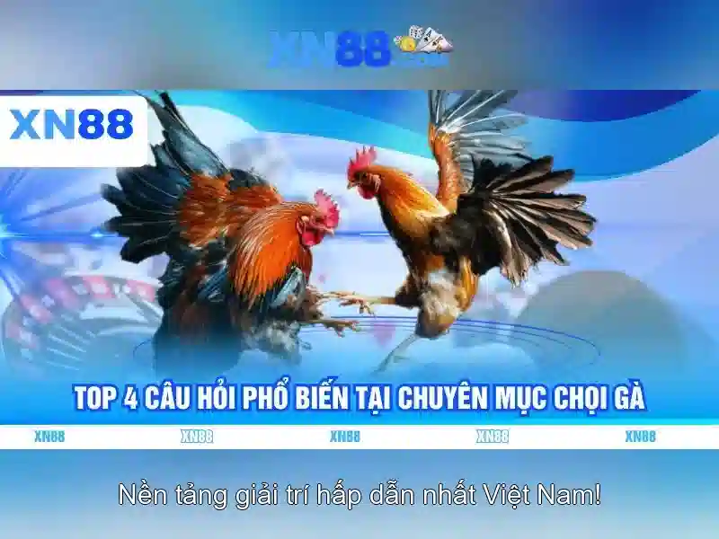 💎cá cược lô đề thenyic.net💎