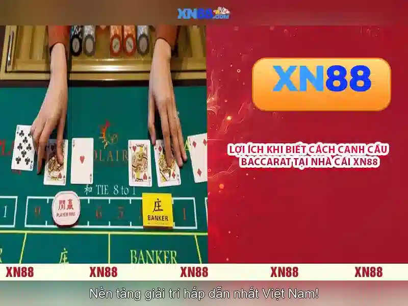 💎slot365. com💎 - slot365 win - slot365 alternatif