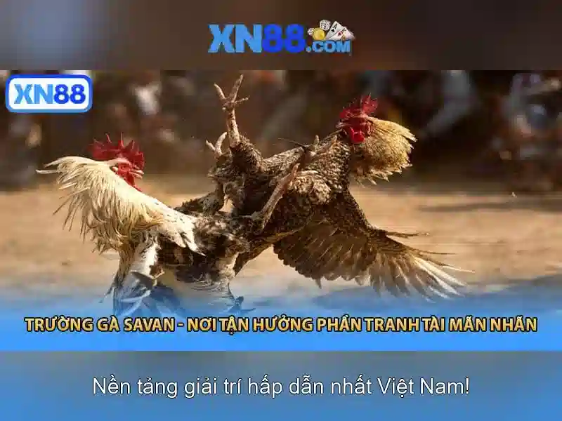 💎gà quấn giấy bạc nướng lò vi sóng💎