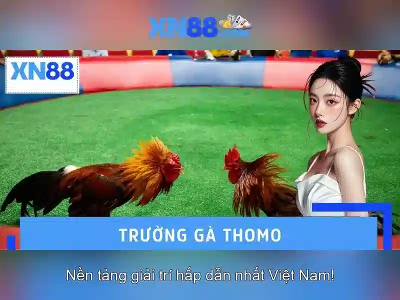 💎cây bạc hà sống ở đâu💎