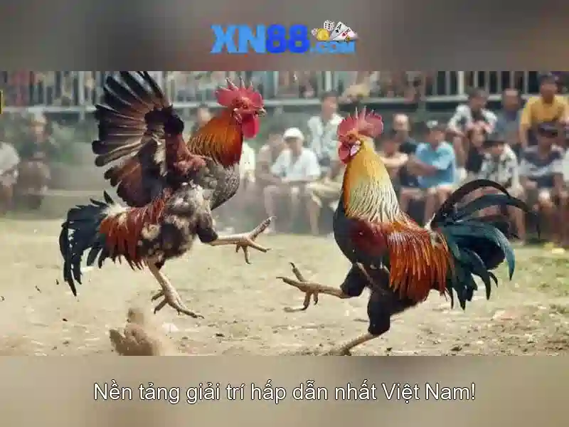 💎ty le bong da keo bong da keo nha cai💎
