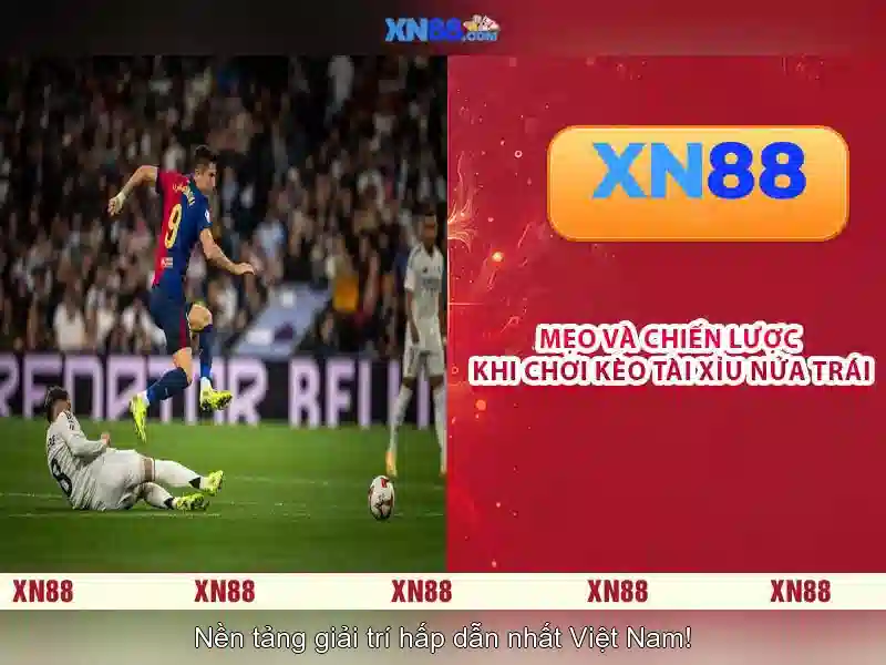 💎xem tỷ lệ cá cược ngày hôm nay💎