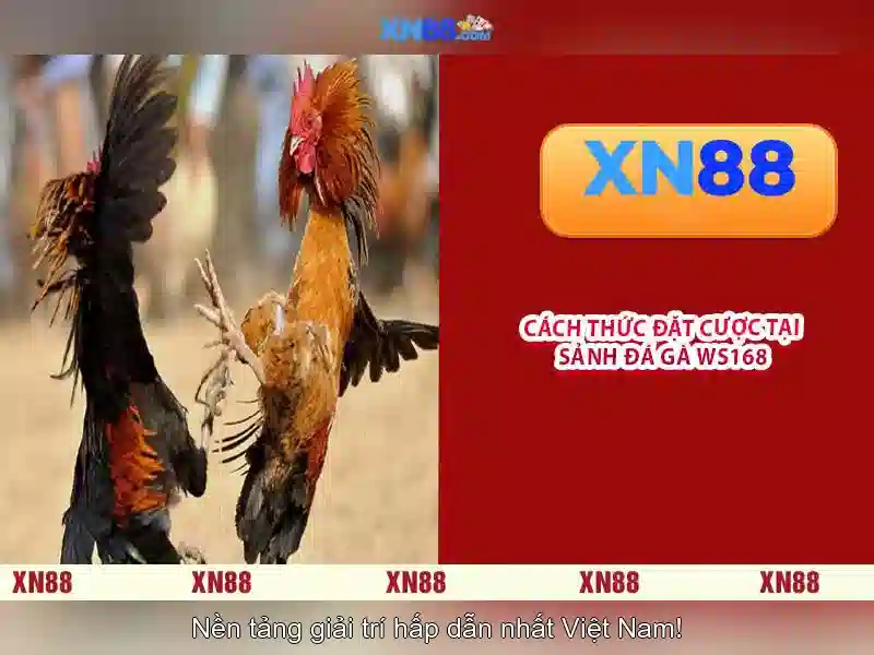 💎xem bóng đá truc tuyến kèo nhà cái💎