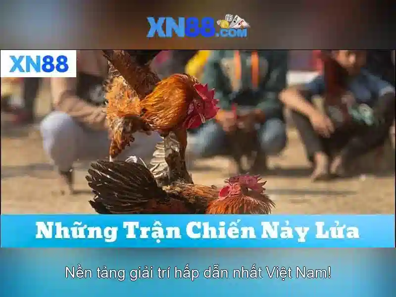 Chơi Có Trách Nhiệm – Nguyên Tắc Vàng Để Cá Cược An Toàn Tại XN88 - XN88