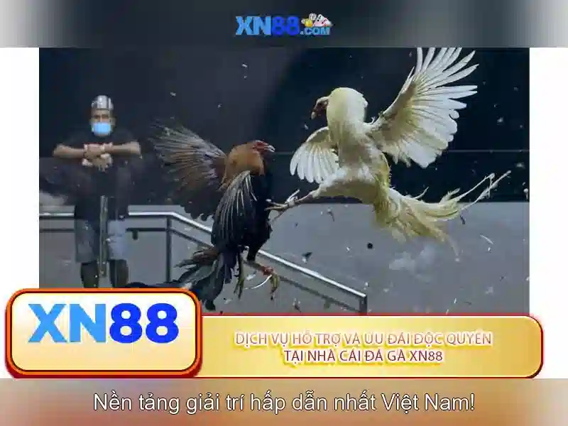 💎nhà cái uy tín 20vui org💎