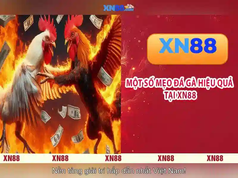 💎nhà cái uy tín topnhacaiuytin.icu💎
