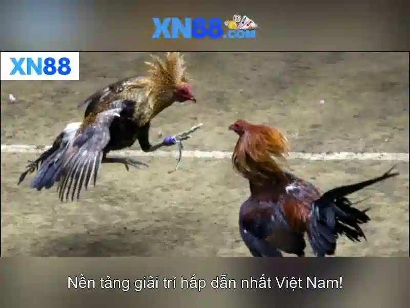 💎ứng dụng cá cược thể thao sòng bạc💎