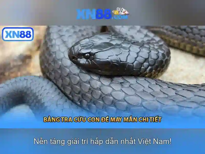 💎888slot motor💎