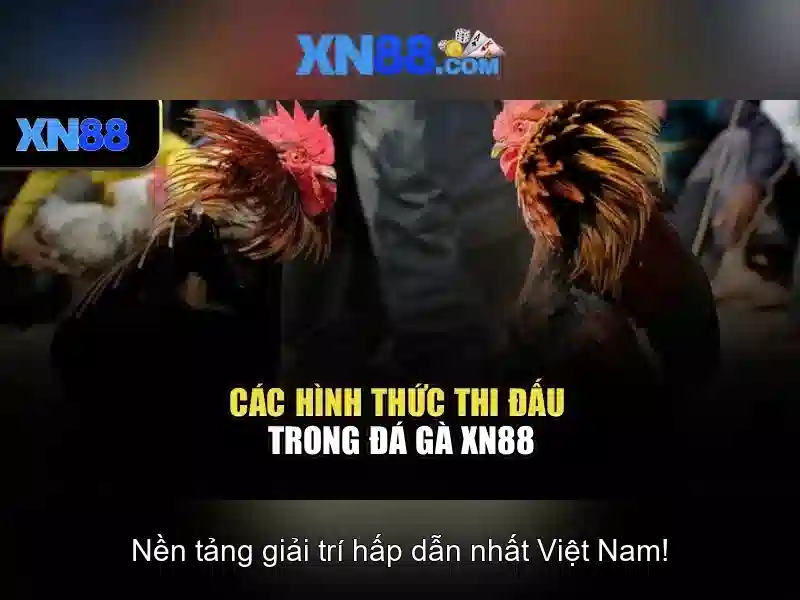 💎vụ đánh bạc ở vĩnh phúc mới nhất 2023💎