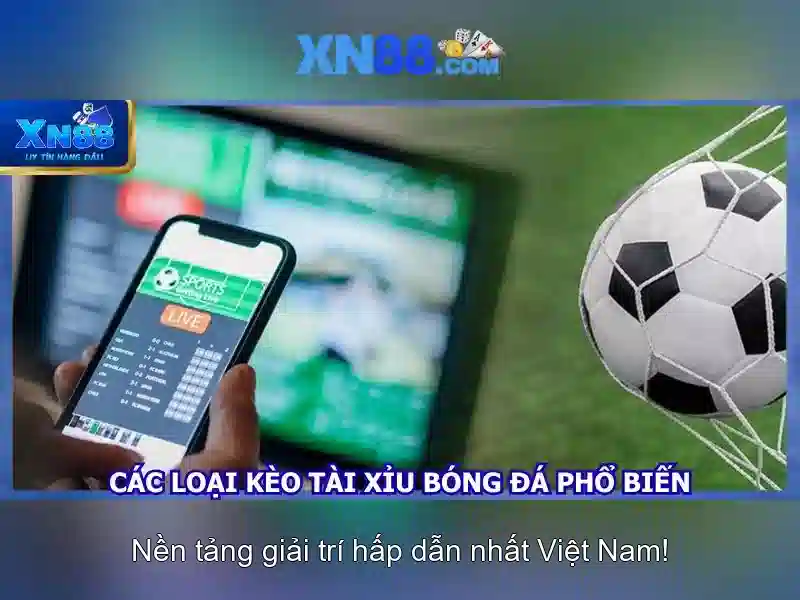 💎slingo advance slot💎