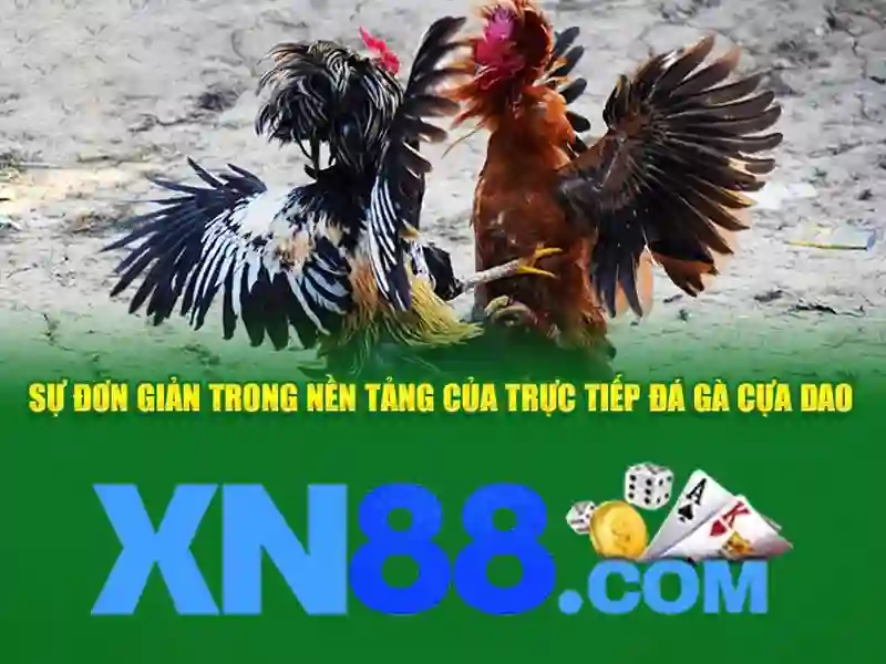 💎keo nha cai tekima💎